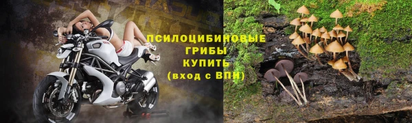 ешки Абдулино