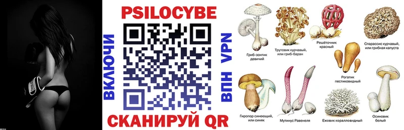 Псилоцибиновые грибы GOLDEN TEACHER  Дрезна 